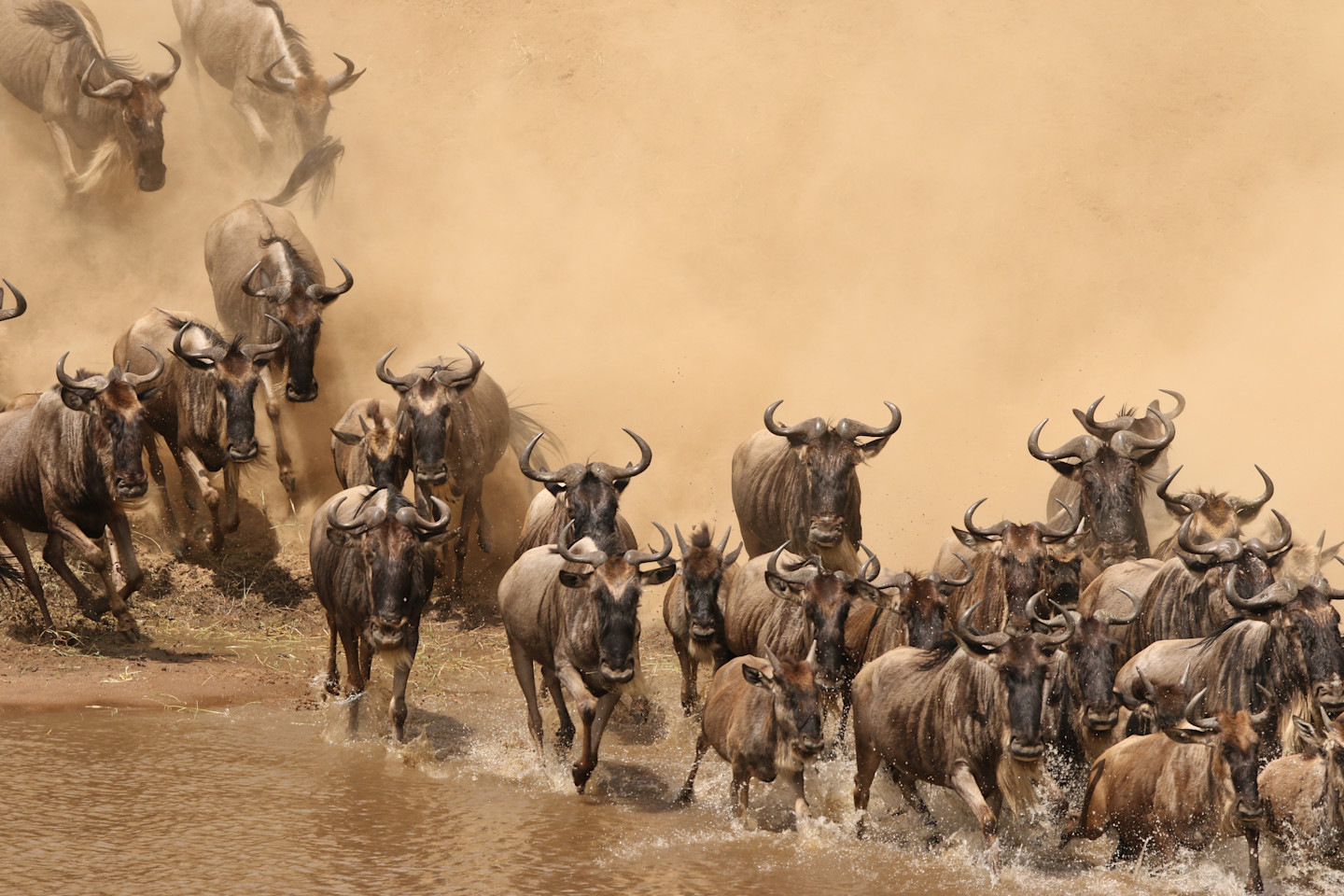 Migration 1