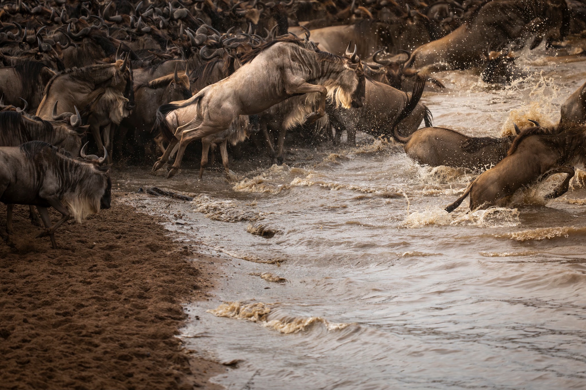 Migration 3